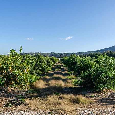 El Limonar De Mallorca - Agroturismo Îles Baléares Extérieur photo